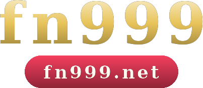 fn999 logo